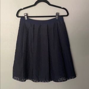 Ann Taylor Navy Circle Skirt